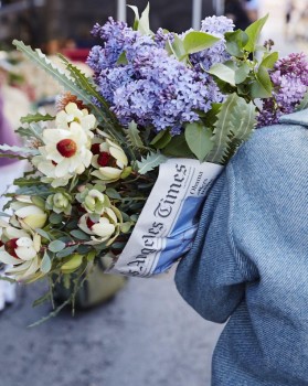 ��ǰ ������